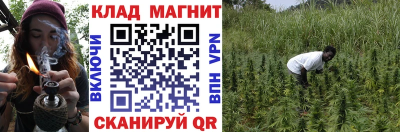 Как найти наркотики Приозерск Амфетамин  Cocaine  kraken маркетплейс  Меф  МЕТАМФЕТАМИН  Канабис  ГАШ 